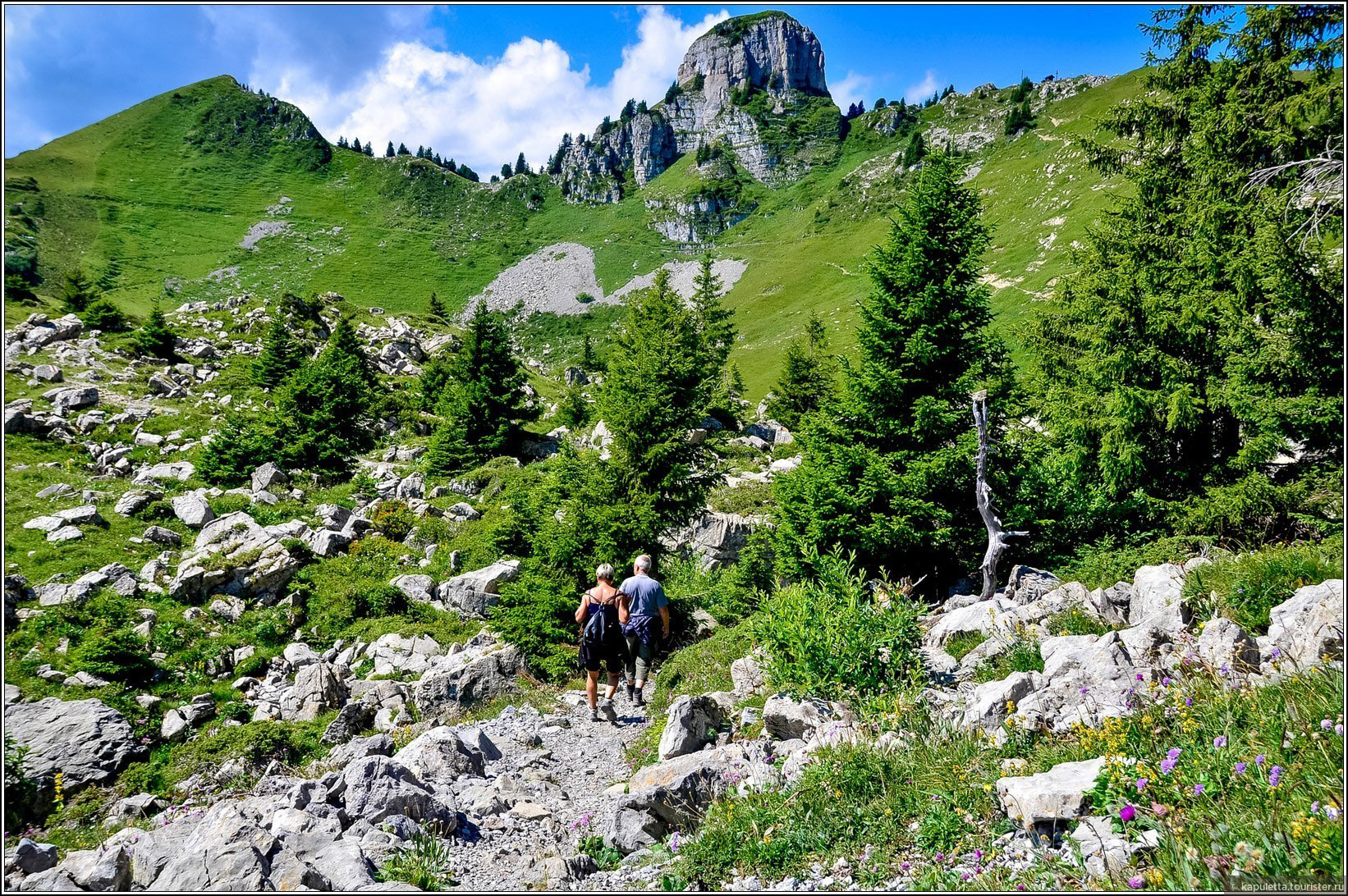 Schynige Platte (Wilderswil)